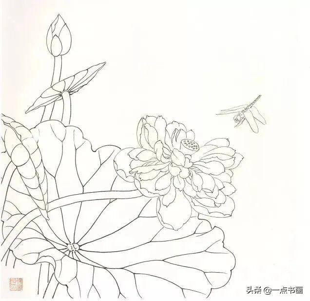 荷花怎么画漂亮又复杂（写意荷花的画法）