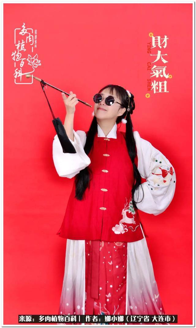 七彩糯糯摆摊挣钱吗（【娜小娜的生活日记】）