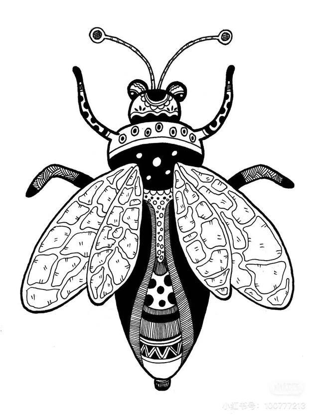 春夏秋冬的画又简单又漂亮（小朋友的线描作品欣赏）
