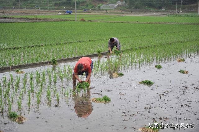 在家赚钱的方法（农民在农村建筑工地上做什么？）