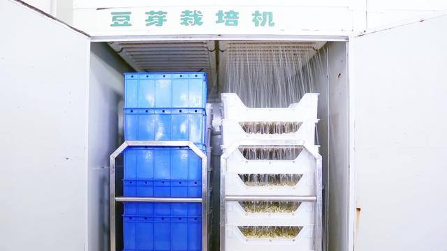 新发明致富小机器（“豆芽大王”发明豆芽机，1台机器日产4万斤）