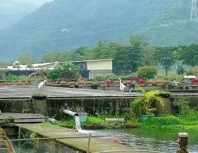 投资小利润高的生意（胜洋水草休闲农场——水草养殖、餐饮、diy）