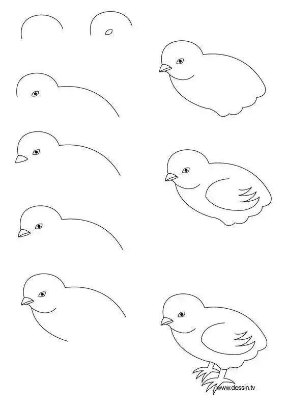 零基础画画（水彩教程｜水彩教程（一））