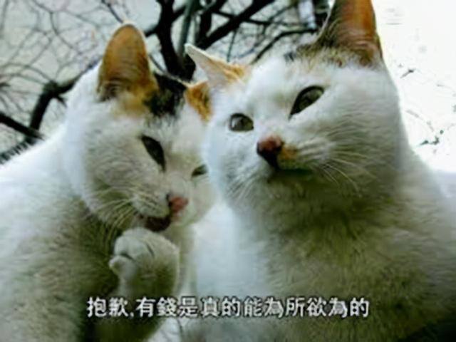 游戏赚（2018年上半年全球手游收入排行榜出炉：《王者荣耀》和《pubgm》）