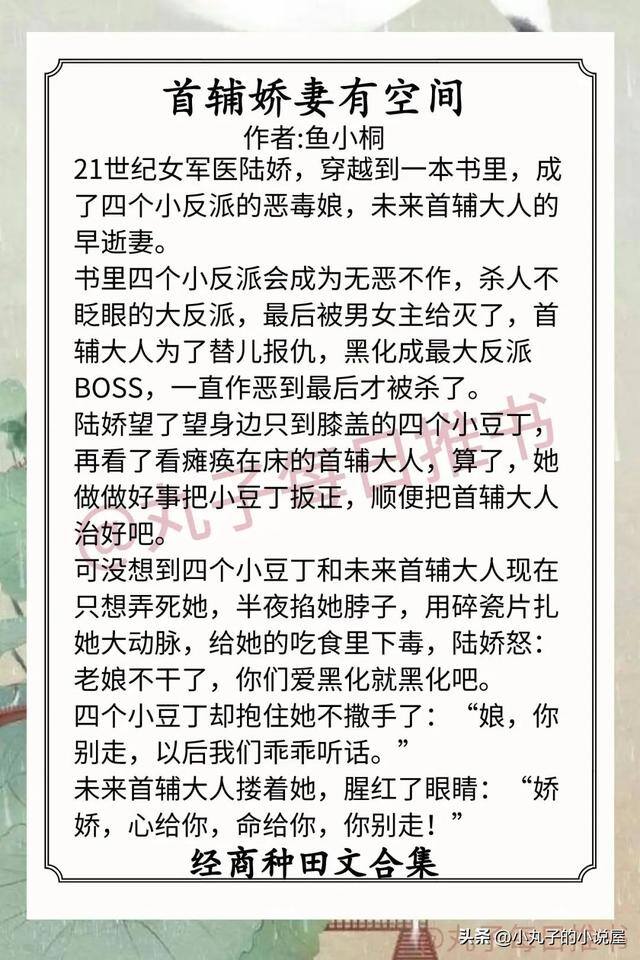带娃致富穿到古代做婆婆（9本经商种田文推荐，穿书，女配逆袭，养娃日常，先婚后爱）