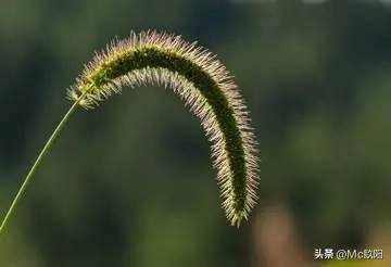 合伙做生意（只要坚守以下十大原则，合伙做生意还是能持久的）
