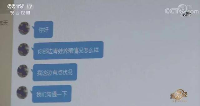 浙江女孩养殖蟾蜍致富（青蛙市场价格暴跌）