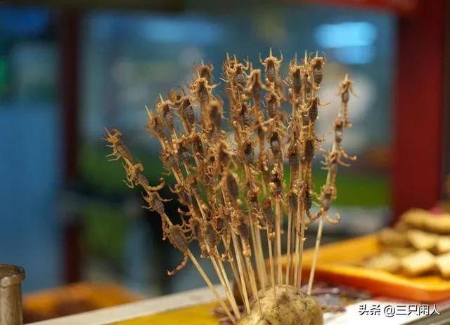 养殖蝎子一年赚多少（新手养殖蝎子应该注意些什么？）