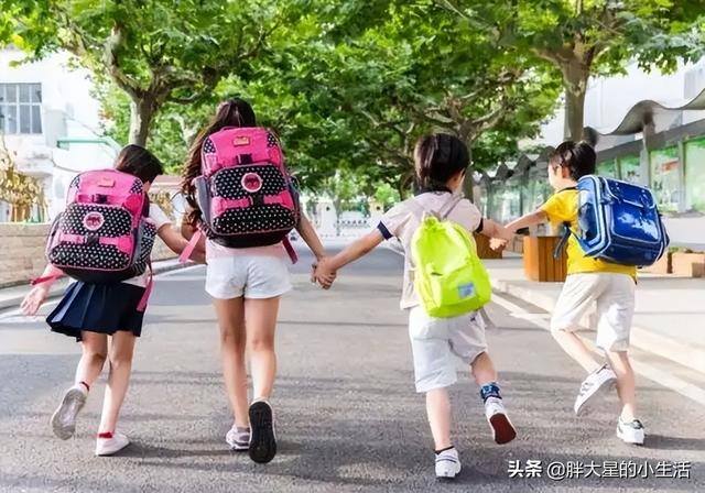 儿童教育加盟好项目（小码添才少儿编程教育加盟）