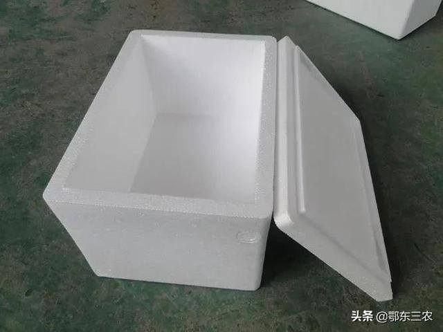 自己在家如何孵化小鸡（孵化小鸡的方法）