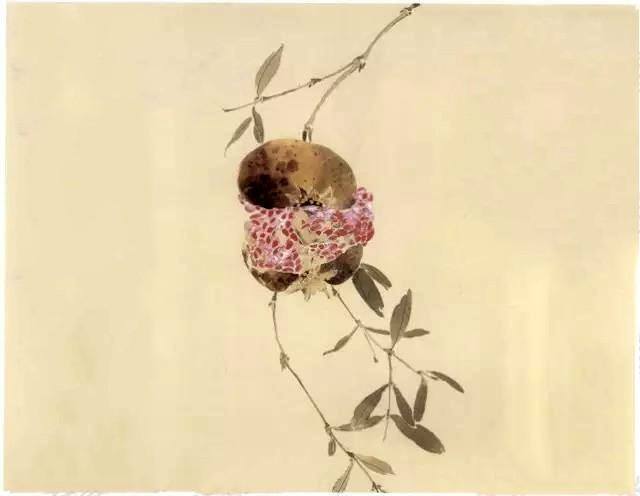 石榴怎么画简单又好看（工笔石榴《榴开多子》画法步骤）