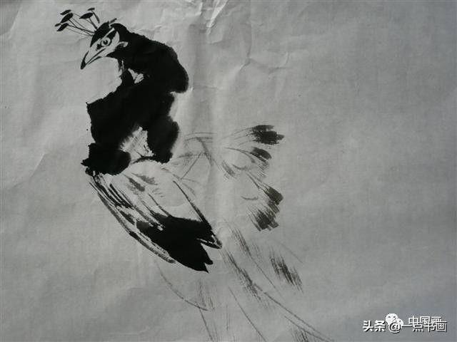 漂亮的孔雀怎么画（孔雀的基本技法）