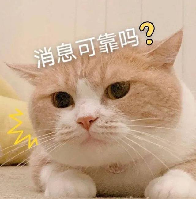 宝妈在家兼职赚钱日结（海外代购骗局，月入过万不是梦！）