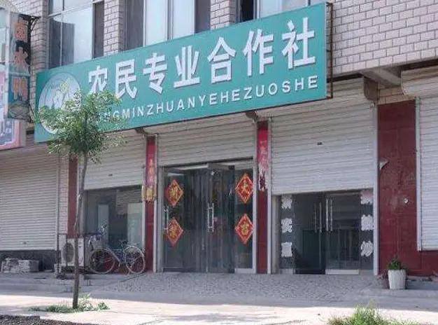 现在在农村做什么最好赚钱呢（未来农村发展前景如何？）