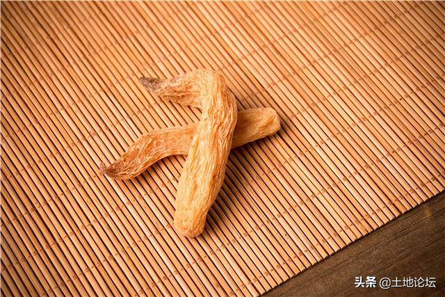 药材种植哪种利润高（一年种一年收的药材）