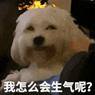 网络赚钱什么软件最好（tape匿名提问软件，不是摆明了把用户当猴耍？）