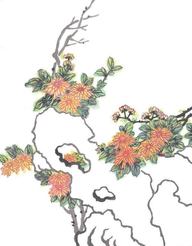绘画技法教程（菊花的绘画技法）
