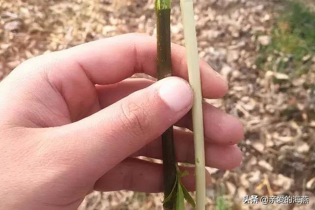 拿回家做手工活（农村孩子的童年玩具，你还记得多少）