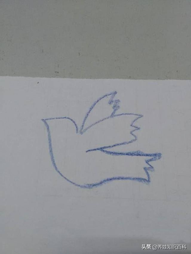 鸽子怎么画简单又好看（和平鸽怎么画？按照这个步骤，一分钟就可以学会）