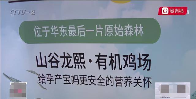 欣隆项目投资靠谱吗（投资鸡蛋赚钱的魔力）
