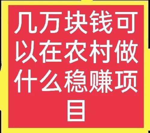 几万块钱创业做什么好（投资几万块钱在农村创业，选择什么项目比较合适？）