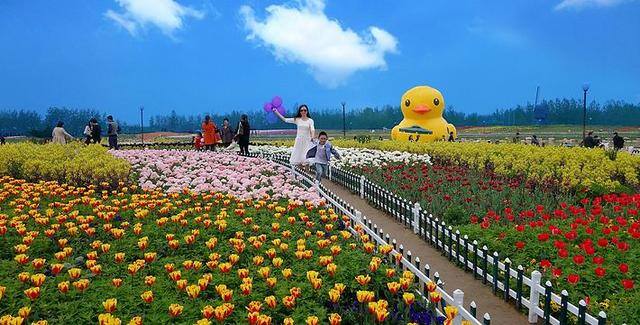 荷兰打工收入多少钱一个月（为什么荷兰人都喜欢去荷兰生活？）