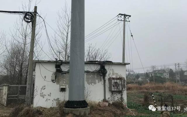 桃源人家赚钱软件（江苏仪征一女子自杀身亡）