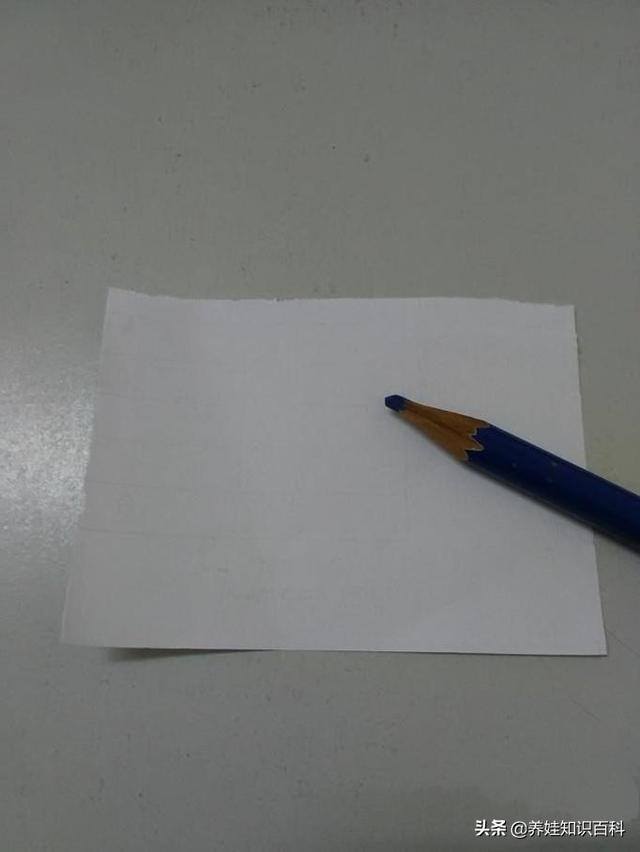 鸽子怎么画简单又好看（和平鸽怎么画？按照这个步骤，一分钟就可以学会）