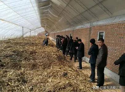 养蚯蚓真的可以赚钱吗（蚯蚓的养殖成本需要多少？）