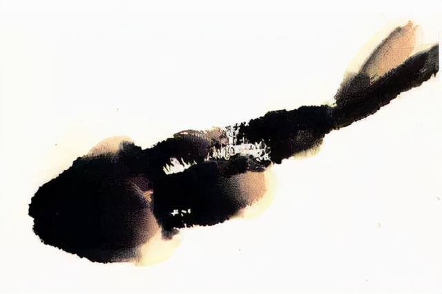 水墨画怎么画简单又漂亮（锦鲤鱼的画法）