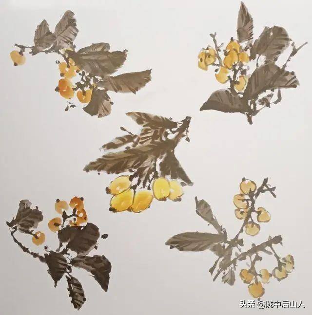 大树怎么画简单又漂亮（枇杷树的构图技巧）
