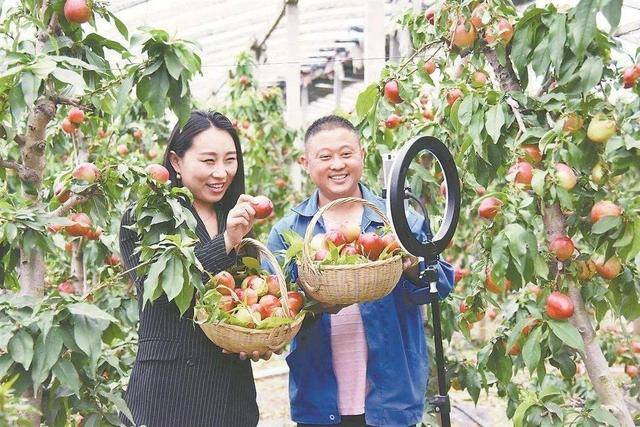在农村开什么店比较适合（2019年农村发展趋势分析）