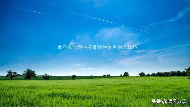 有什么办法可以快速赚钱（如何提高自己的收入？）