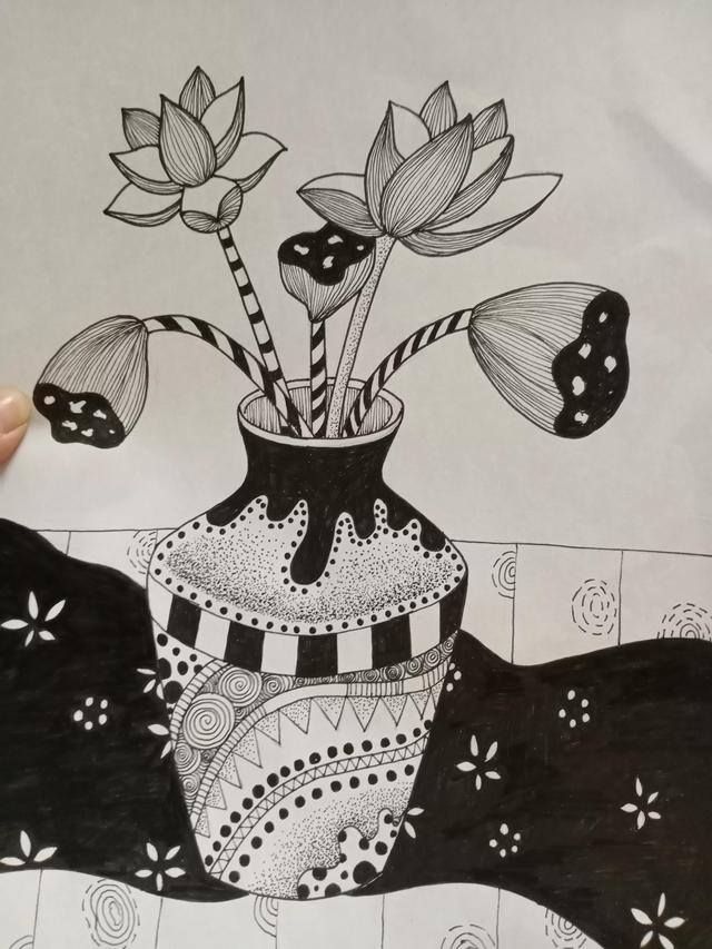 莲花怎么画简单又好看（黑白线描画《花瓶和花》）