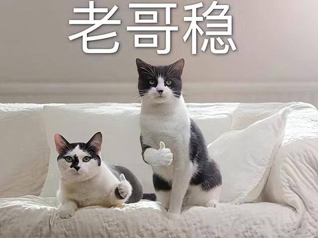 正规挣钱最快的游戏（《王者荣耀》继续蝉联第一，腾讯《和平精英》居首）