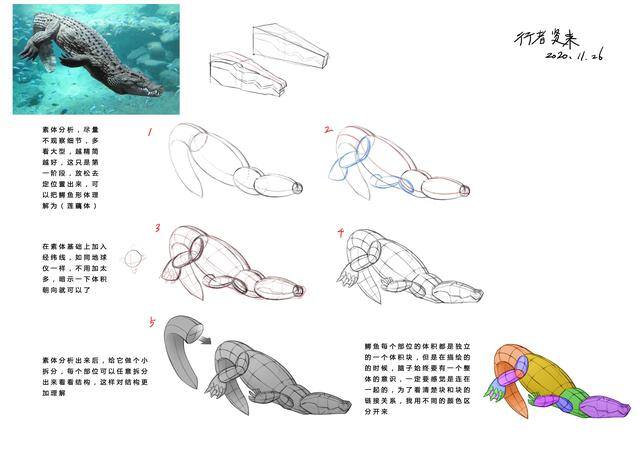 如何画画好看又简单易学（自学画画1年心得体会）