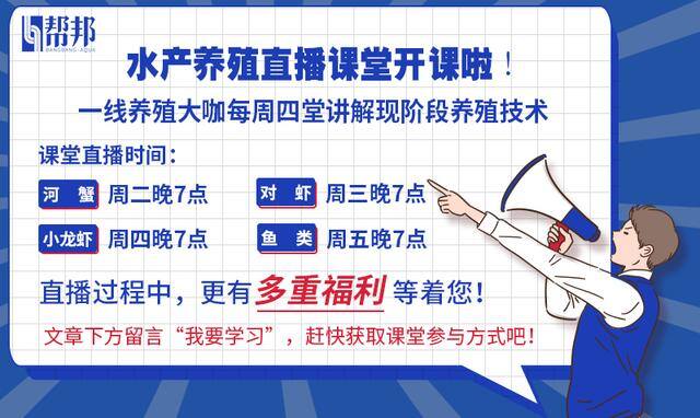 养虾投10万大约赚多少（徐子波：虾塘养殖的“怪圈”）