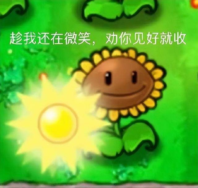 有什么软件可以赚钱最快又安全（360的卸载体验如何？）