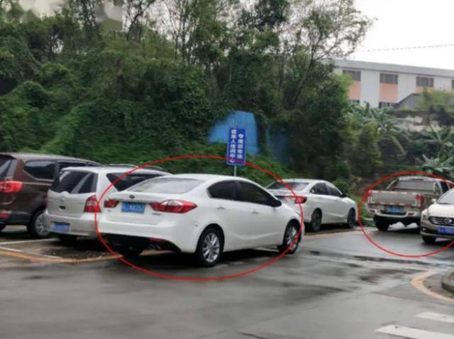 拍汽车违章赚钱叫什么软件（东北小伙开车去路上拍违章，一小时拍了几十辆汽车，被砸得面目全非）