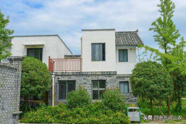 药材种植什么最赚钱找制药厂合作（25年间，他带领村民种柴胡，当归中药材，使村民亩增收8500元）