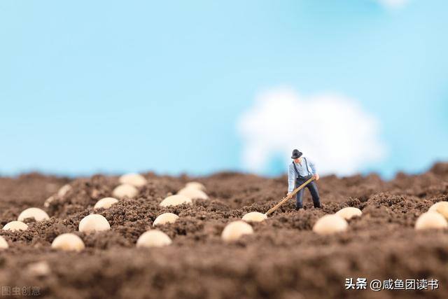 带娃致富:穿到古代做婆婆（5本种田文推荐，女主穿越到古代，男主和他爹还是拎得清）