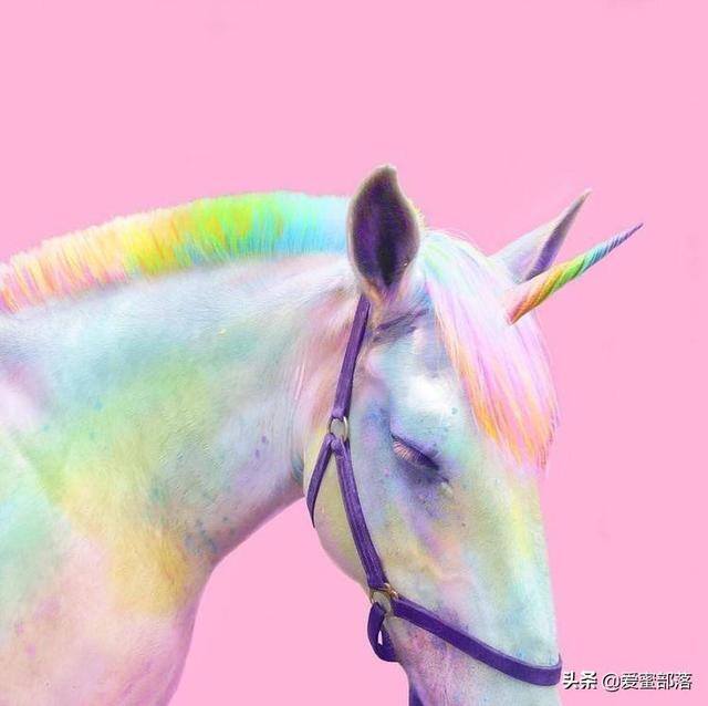 漂亮的独角兽怎么画（彩铅独角兽的绘画过程讲解）