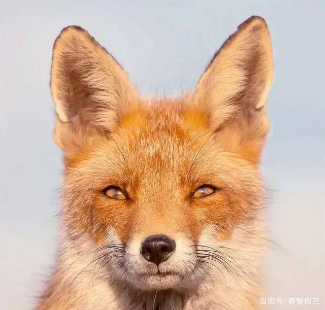 家里养只九尾狐gl（容易读错的地名，你知道哪些？）