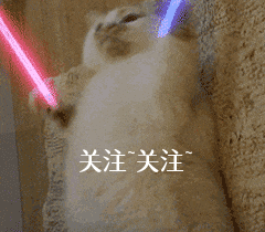 新手适合养什么狗（最好养的6种宠物犬，给它们吃的就能养活，很适合新手饲养！）