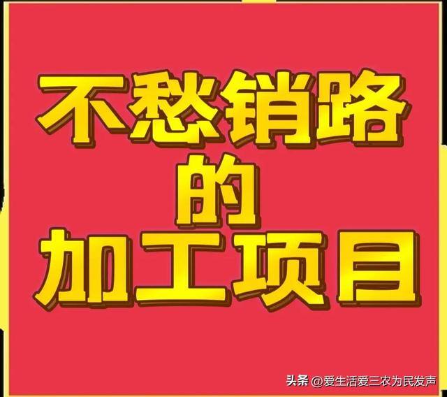 国家扶持农村办厂有哪些项目（农村做什么加工项目好？）