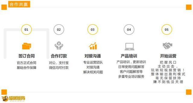 轻资产创业项目排行榜前十名（短视频红利期爆火的项目——猫眼矩阵营销系统）