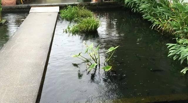 投资小利润高的生意（胜洋水草休闲农场——水草养殖、餐饮、diy）