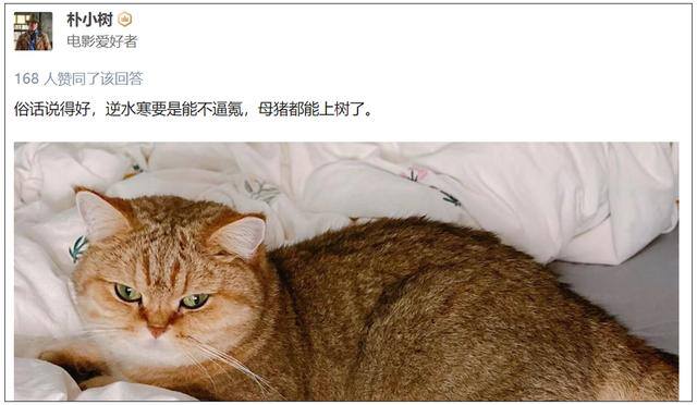赚钱的游戏软件无门槛无广告（《逆水寒》手游高调宣布：不氪金不等于放弃营收）
