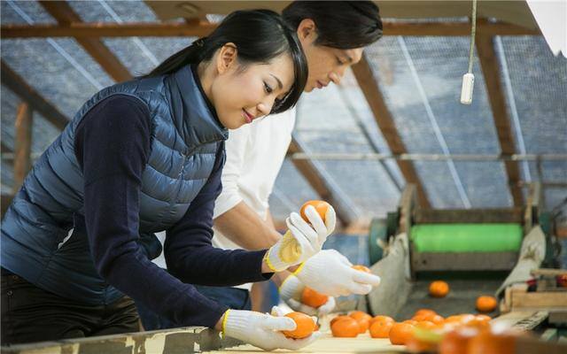 适合家庭的小型加工厂（农村家庭办厂选择哪些项目比较好？）