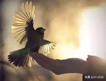 合伙做生意（只要坚守以下十大原则，合伙做生意还是能持久的）